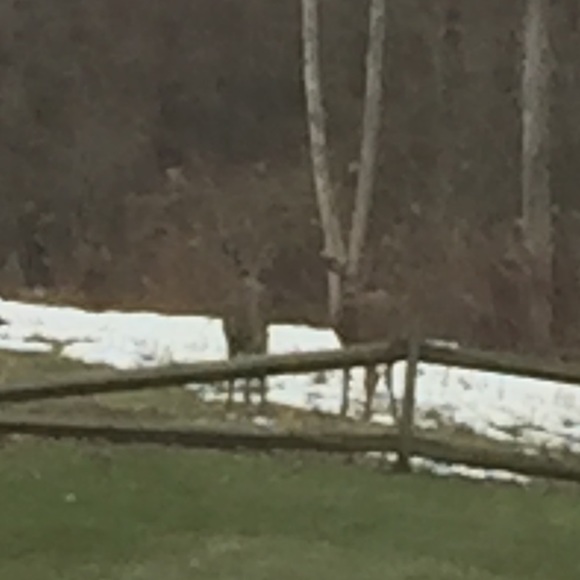 Meet your Posher, Jimmy - Picture 1 of 1